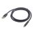 Cablexpert - USB cable - 24 pin USB-C (M) to US | CC-USB2-AMCM-1M