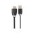 ViewSonic VB-WPS-003 Cast Button - Network media streaming adapte
