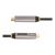HDMI cable - 24 pin USB-C male to HDMI, US | 146B-USBC-HDMI4K-AOC