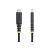 USB cable - 24 pin USB-C (M) straight/lock | S2CEPR3M-USBSL-CABLE