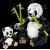 LEGO Creator 3-in-1 Wild Animals Panda Familye 31165