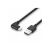 Lindy - USB cable - USB (M) straight to 24 pin USB-C (M)  | 32001