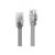 Lindy - Patch cable - RJ-45 (M) to RJ-45 (M) - 5 m - UTP  | 47494