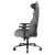 DXRACER Craft Serie GCLCF23LTAG GamingStuhl GCLCF23LTAG
