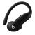 Beats Powerbeats Pro 2 / True wireless earphones with | MX723ZM/A