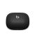 Beats Powerbeats Pro 2 / True wireless earphones with | MX723ZM/A