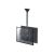 NewStar NeoMounts NM-C440D / Bracket / for 2 LCD  | NM-C440DBLACK