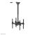 NewStar NeoMounts NM-C440D / Bracket / for 2 LCD  | NM-C440DBLACK