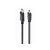 Cablexpert CC-DP-HDMI-10M / Adapter cable / DisplayPort male to H