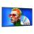 BenQ SL4304 43 Diagonal Class SL04 Series 9H.S3KTB.DE2