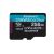 Kingston Technology 256GB microSDXC Canvas Go Plu | SDCG4/256GBSP