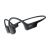 SHOKZ OpenRun / Headphones with mic / open ear / beh | S805-ST-BK