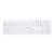 Active Key MedicalKey AK-C8100 / Keyboard / | AK-C8100F-FU1-W/NOR