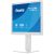 iiyama ProLite B1980S-W1 / LED monitor / 19" / 1280 x 1024 @ 75 H