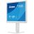iiyama ProLite B1980S-W1 / LED monitor / 19" / 1280 x 1024 @ 75 H