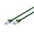 DIGITUS Ecoline / Patch cable / RJ-45 (M) to RJ-4 | DK-1532-150/G