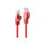 Lindy Basic / Patch cable / RJ-45 (M) to RJ-45 (M) / 30 c | 48180