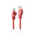 Lindy Basic / Patch cable / RJ-45 (M) to RJ-45 (M) / 50 c | 48181