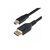 DisplayPort cable / Mini DisplayPort (M) to Displa | DP14MDPMM10F