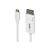 StarTech.com 6.6ft (2m) USB C to DisplayPort 1.2 Cab | CDP2DP2MBW