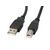 Lanberg CAUSBA11CC0018BK 1.8 m USB A CAUSBA11CC0018BK