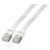 EFB-Elektronik Patch cable RJ-45 (M) to RJ-45 (M)  | K5545WS.0,15