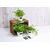 HERMA HOME feeling Blackboard stickers Decoration 15092