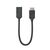 ALOGIC Elements EL2DPHD-ADP DisplayPort to HDMI Adapter