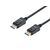 Equip DisplayPort Male to Male, 1.0m, (119271)