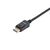 Equip DisplayPort Male to Male, 1.0m, (119271)