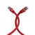 EFBElektronik Patch cable RJ45 (M) to RJ45 (M) K5545RT.0,5