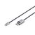 DIGITUS - Adapter cable - DisplayPort (M) to 24 | DB-300334-010-S