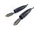 Equip HDMI 2.1 Armored Optical Cable 200 m 8K 48Gbps