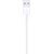 Apple - Lightning cable - Lightning male to USB male  | MUQW3ZM/A