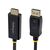 StarTech.com DP to HDMI Cable 4.6 m 4K60 HDR Gripping