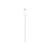Apple - Lightning cable - Lightning male to USB male  | MUQW3ZM/A