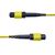 StarTech.com MTP/MPO-12 OS2 Fibre Cable 5 m Yellow