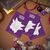 Ultra Pro Elite Gengar APEX Pokemon Sleeves 105 Pack