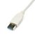 StarTech USB31000SW USB 3.0 Gigabit Ethernet Adapter White