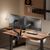 equip 650131 Gas Spring Dual Monitor Desk Mount 17-32"