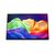 Acer PE160W 16" OLED Portable Monitor WUXGA Silver