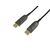 Equip 119443 active optical DisplayPort cable 30 m Black