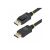 StarTech.com DISPL2M10PK DisplayPort 1.2 Cables, 2 m Each, 4K60, Black, Pack of 10