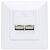 Intellinet 771917 Cat6a Dual RJ45 Wall Plate, Signal White