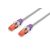 Digitus A-CC-VI Violet RAL 4008 RJ45 Colour Clips, 100-Pack