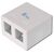 DIGITUS 2-Port Keystone Consolidation Point Box White
