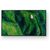 Sony BRAVIA FW-43BZ35P 43-inch 4K Professional Signage Display, Black