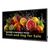 Philips Signage 5000 Series 32BDL5050D/00 32-Inch Professional Full HD