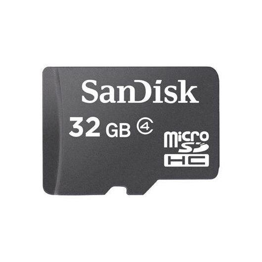 Sandisk-SDSDQM032GB35A-Flash-memory---Readers