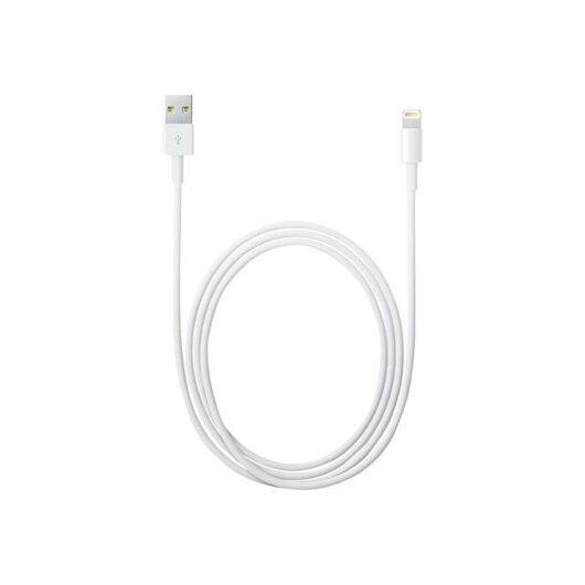Apple-MD819ZMA-Cables--Accessories